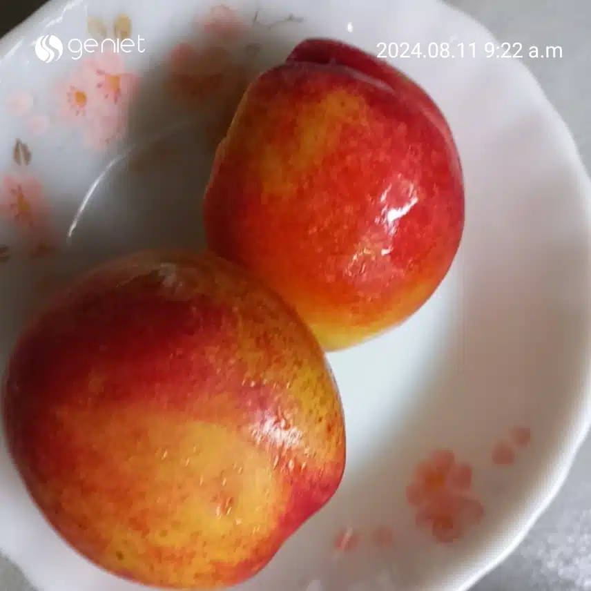 사돈이 주신 맛있는 복숭아~