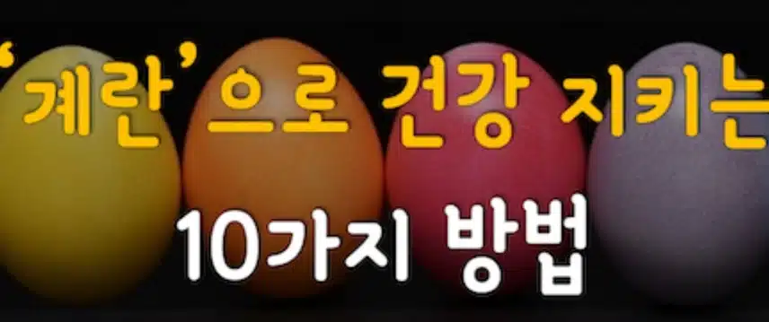 계란으로 건강지키는 10가지 방법