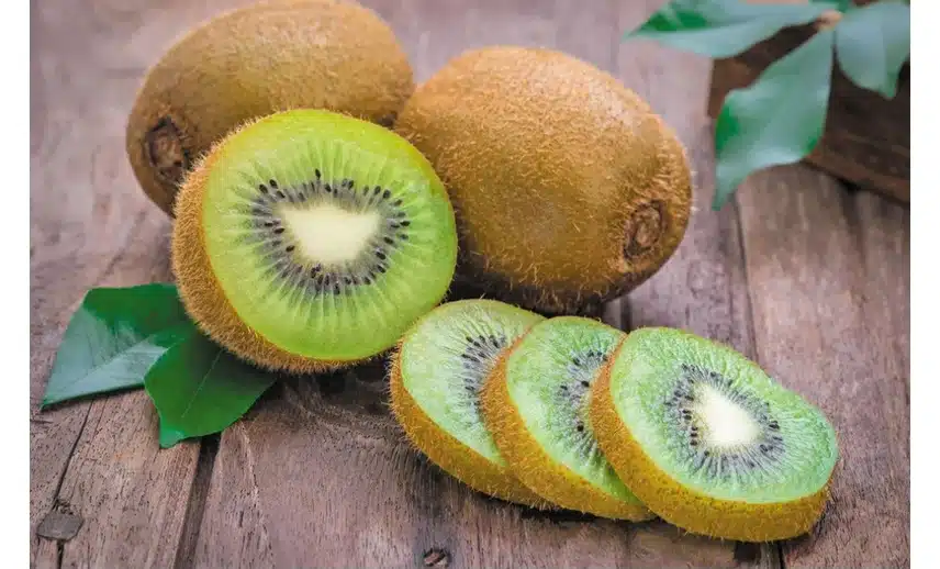 키위 다이어트🥝