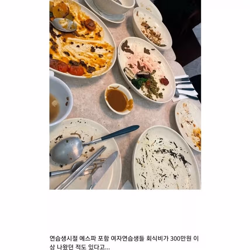 소소하게 논란중인 카리나 식사량