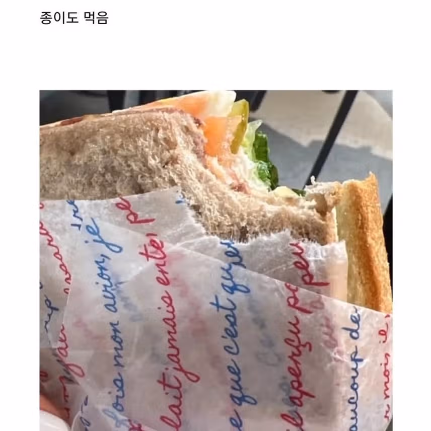 소소하게 논란중인 카리나 식사량