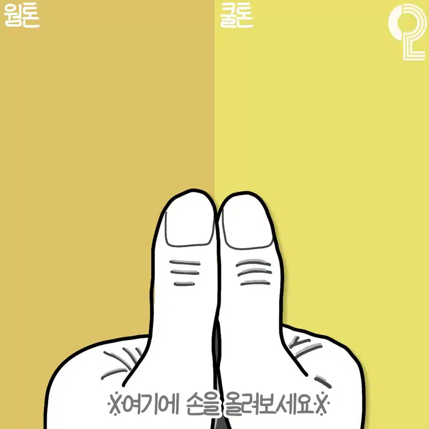 3초안에 알수있는 퍼스널컬러 진단법