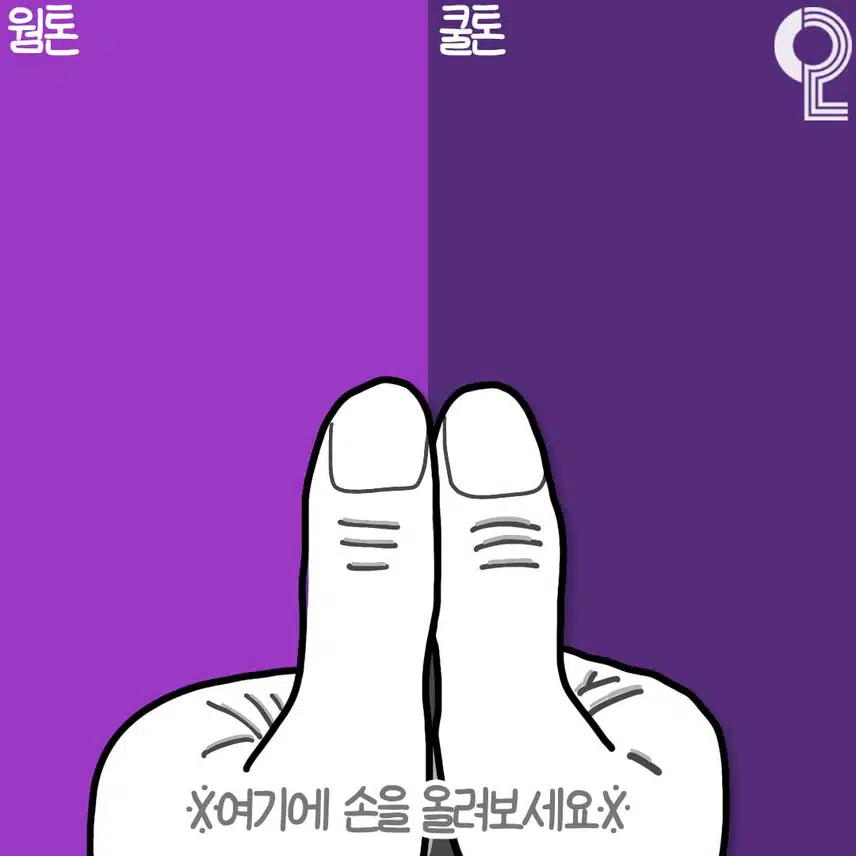3초안에 알수있는 퍼스널컬러 진단법