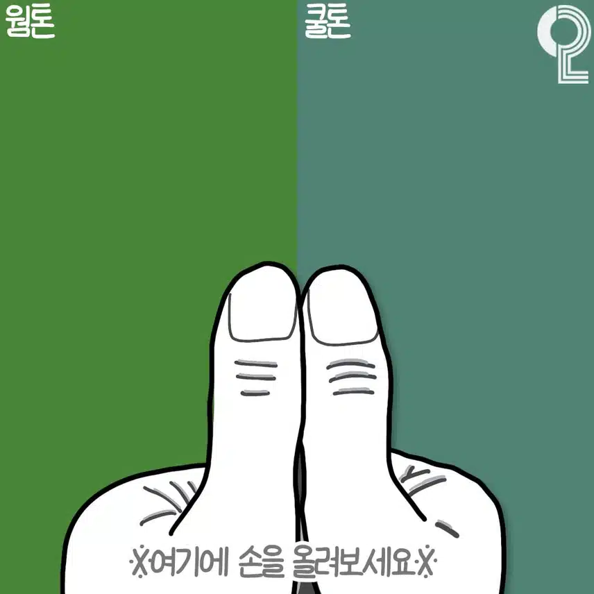 3초안에 알수있는 퍼스널컬러 진단법