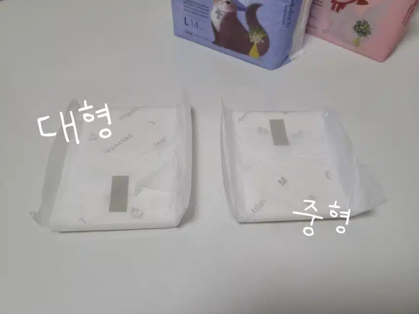 [시크릿데이] 날개형 생리대 중형&대형 추천해요!