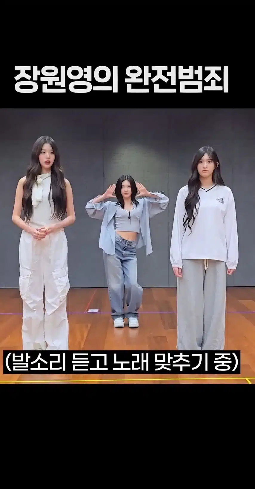 장원영의 완전범죄