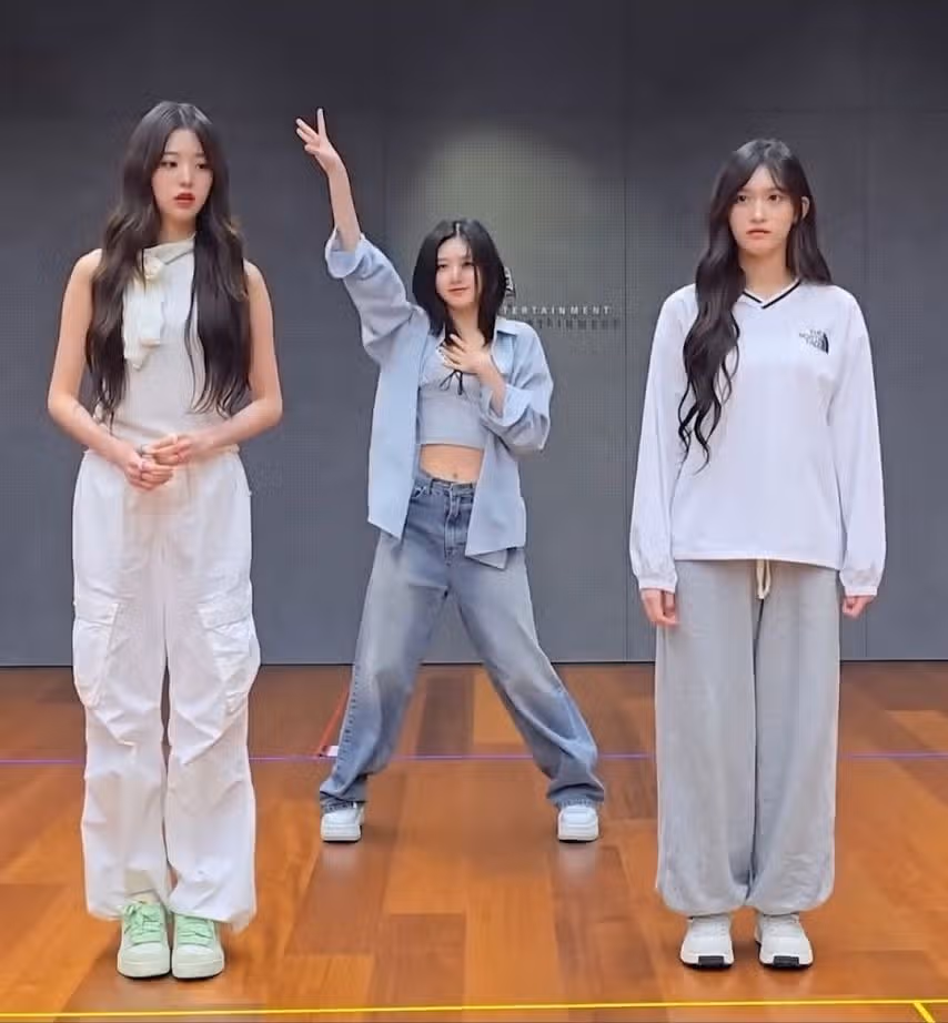 장원영의 완전범죄