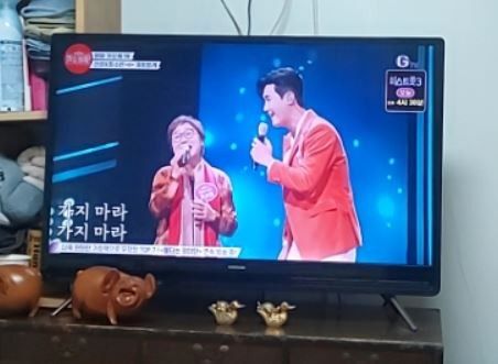<불타는 장미단>에 영심이, 나애리, 비룡이 나온 이유ㅋ
