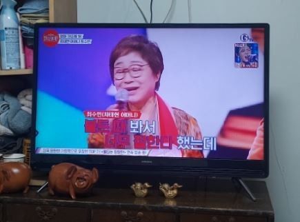<불타는 장미단>에 영심이, 나애리, 비룡이 나온 이유ㅋ