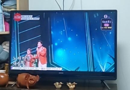 <불타는 장미단>에 영심이, 나애리, 비룡이 나온 이유ㅋ