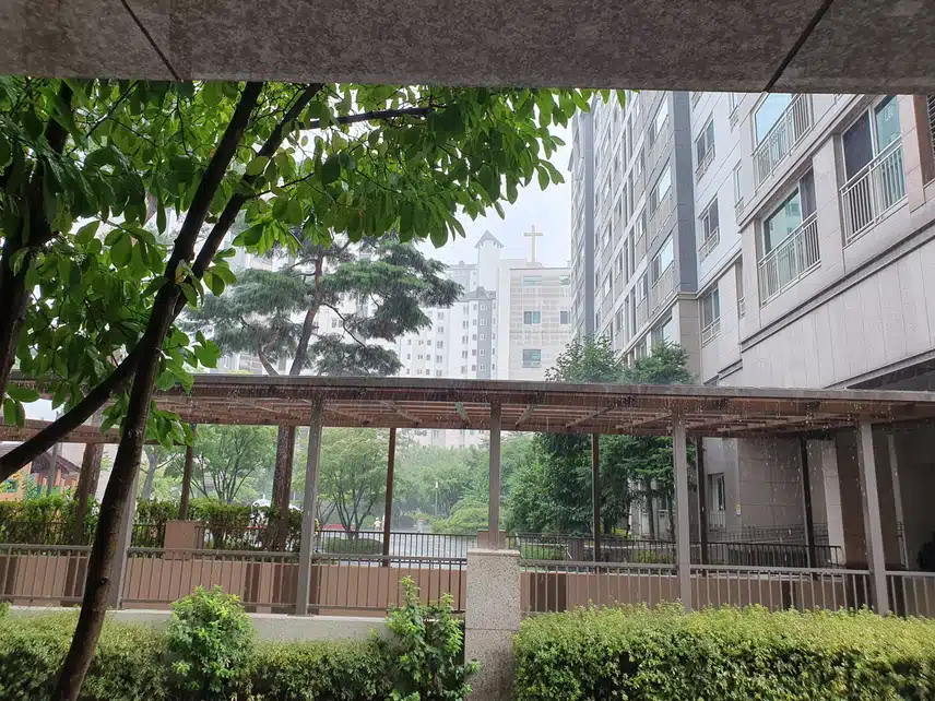 외식 서울 35도 많이 더워요