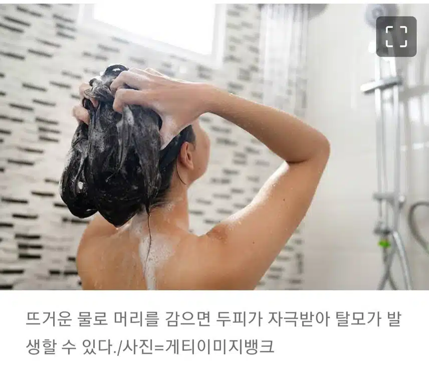 머리 매일 감아도, '이런' 습관 있으면 탈모 생겨요 