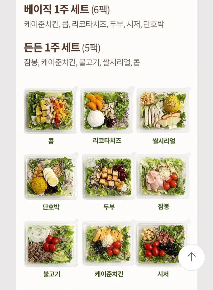 헬시딜 신상 샐러드도시락🥗🥗