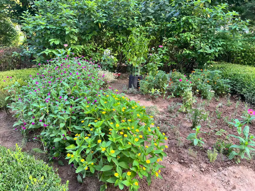 할머니 🌷 꽃밭