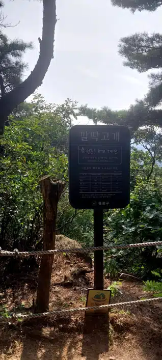 허리디스크로 운동으로 극복하기! 허리디스크 초기 병원 치료후기