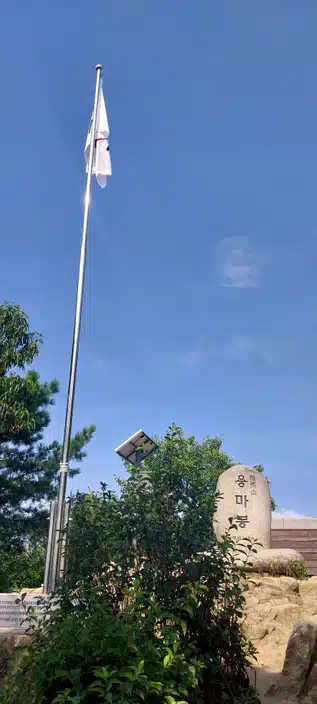 허리디스크로 운동으로 극복하기! 허리디스크 초기 병원 치료후기