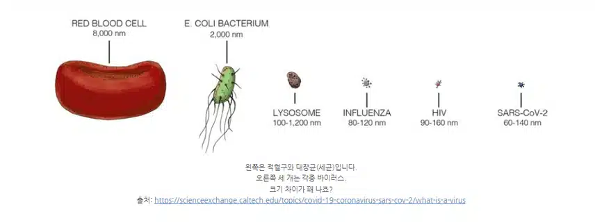 입술 포진 헤르페스에 대해 알아보자, 