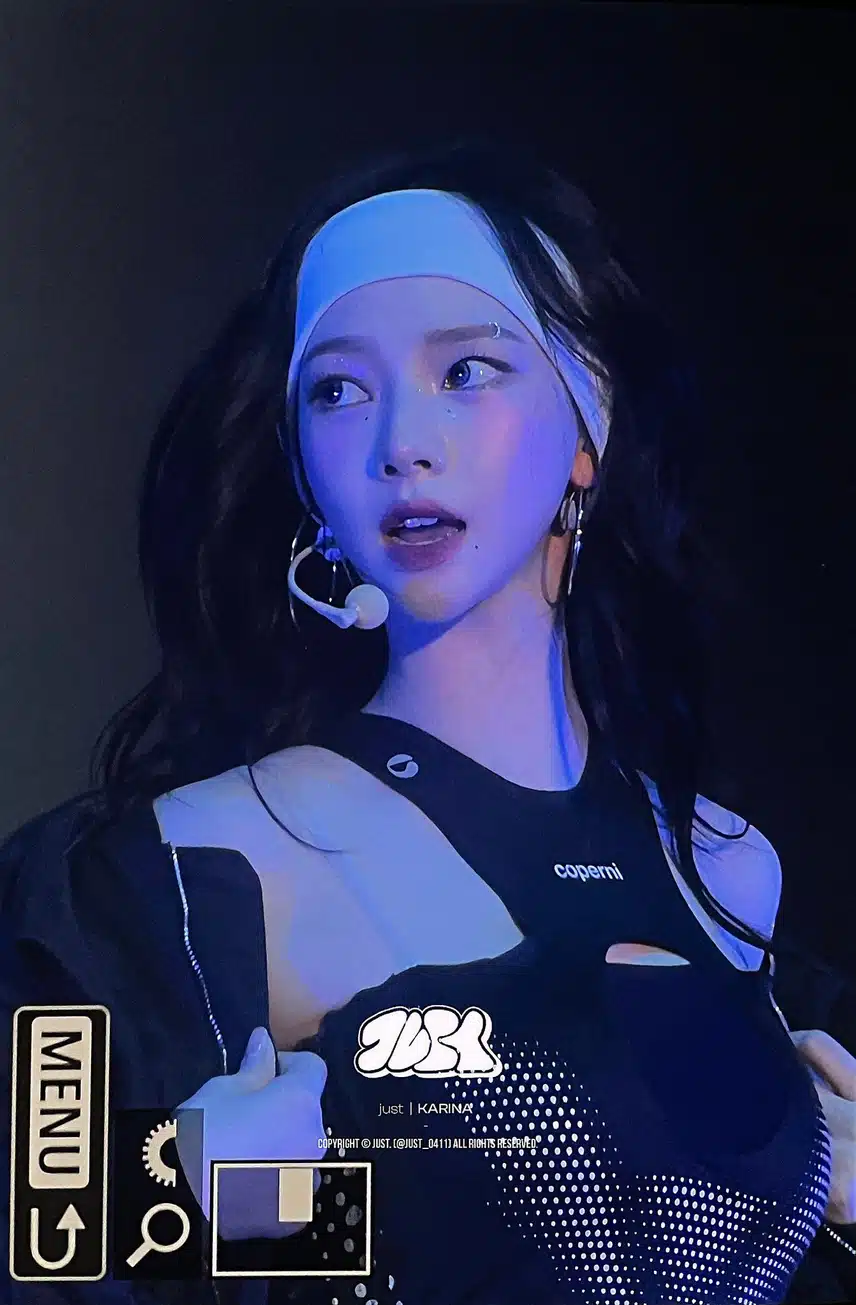 리나리나 카리나