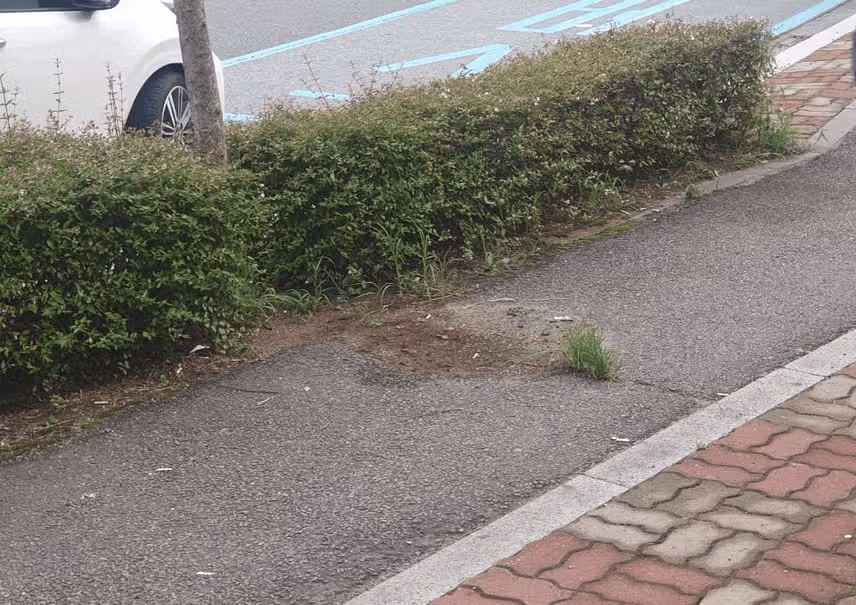(인생공부)풍선간판으로 인한 자전거 사고후 진행 상황
