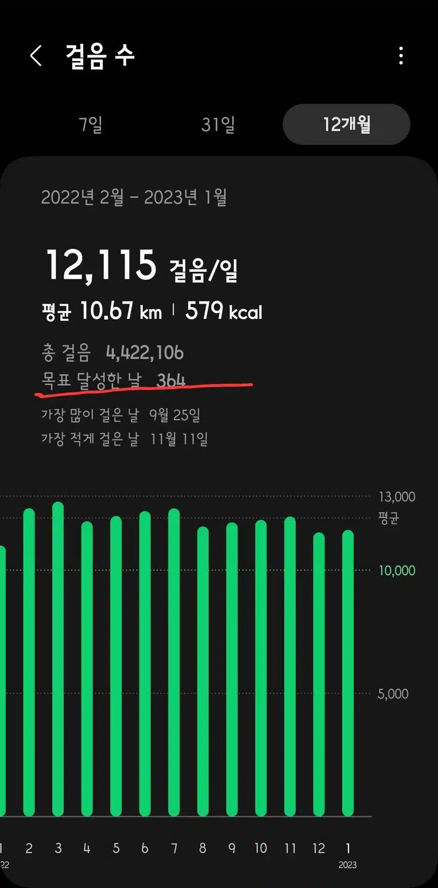 만보 365일 채우기