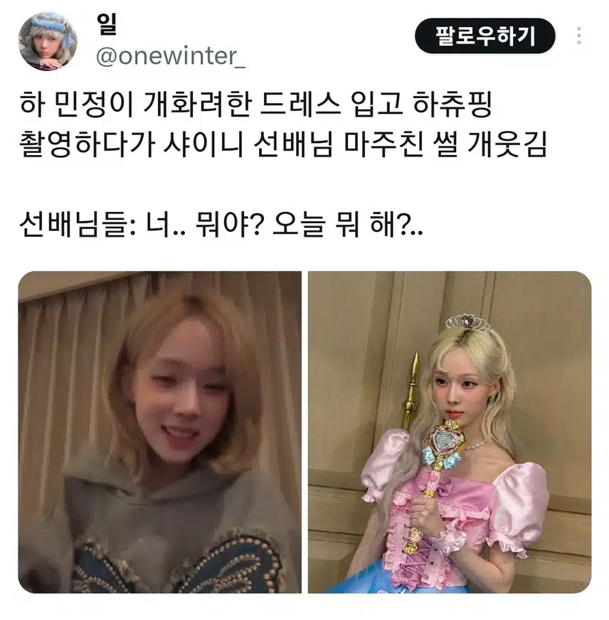 🎀하츄핑 드레스👑 입고 샤이니 sbn 마주친 윈터