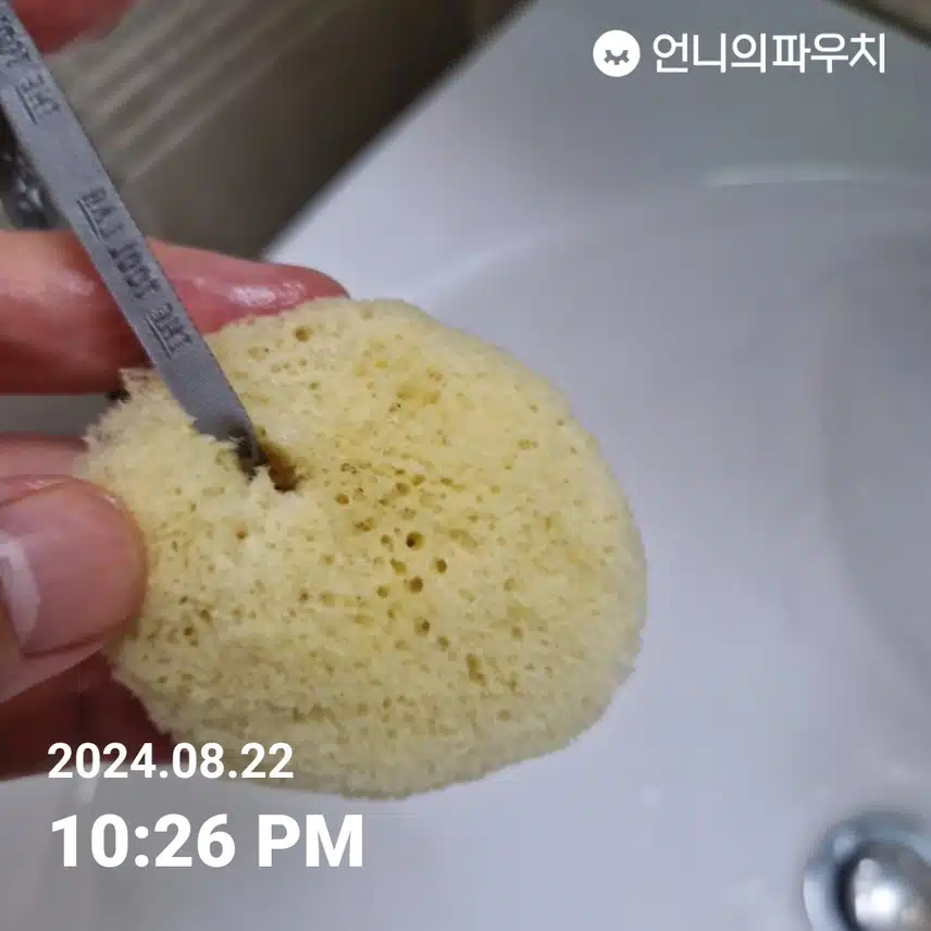 천연해면스폰지 