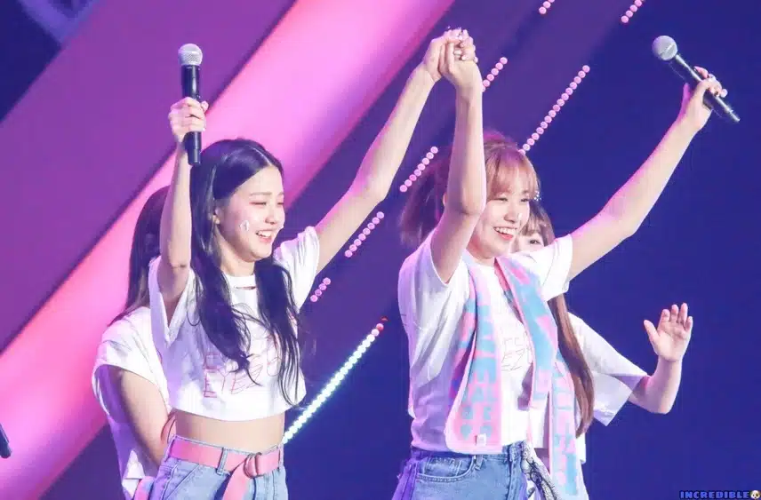 🎂 2019년 안녕즈와 2024년 안녕즈 🎁