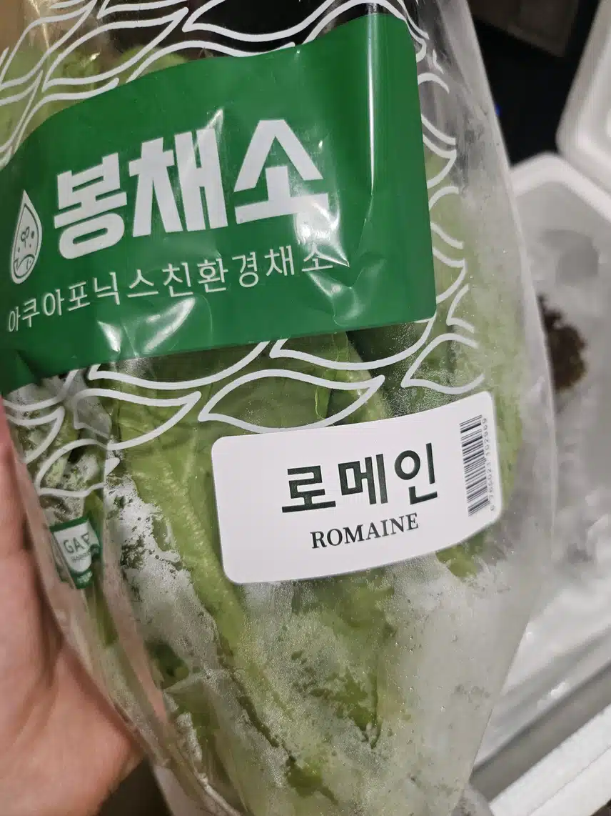 아쿠아포닉스 무농약 샐러드 쌈채소 3구 세트 추천합니다💗 활용법^^
