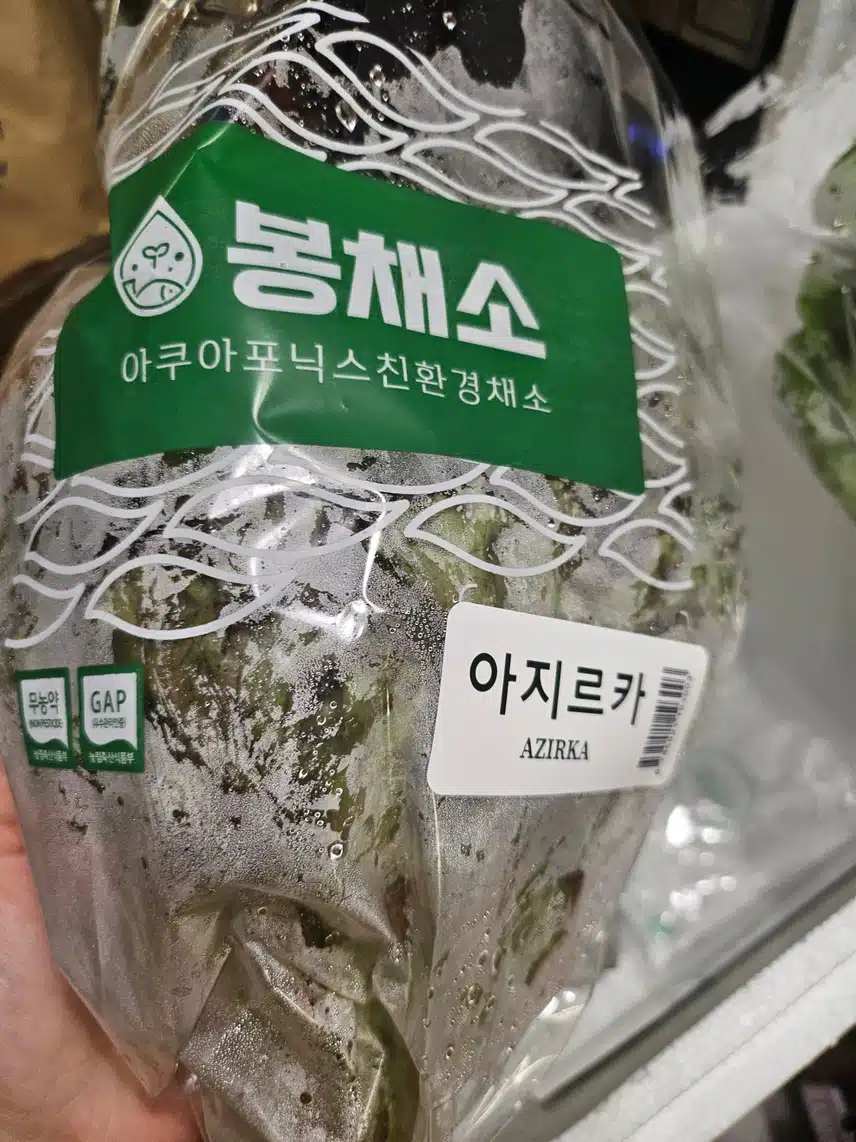 아쿠아포닉스 무농약 샐러드 쌈채소 3구 세트 추천합니다💗 활용법^^