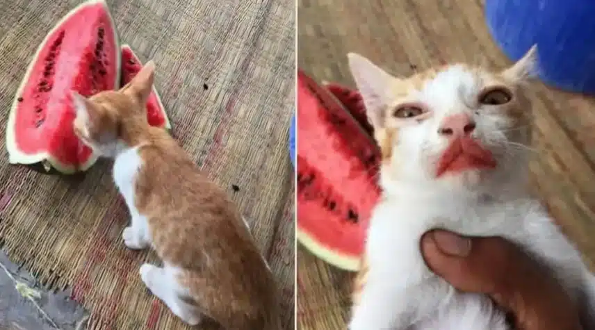 뭐하니?ㅋㅋㅋ