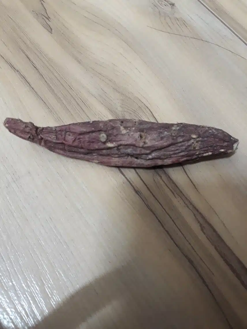 캐시딜에서 고구마 샀는데 맛있어요