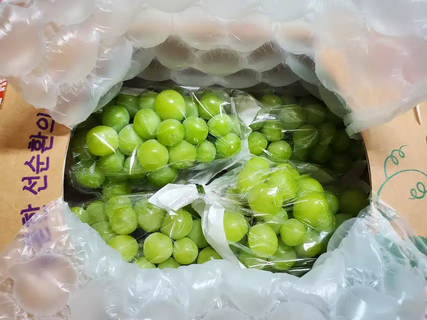 캐시딜과 함께 하는 삼시세끼!