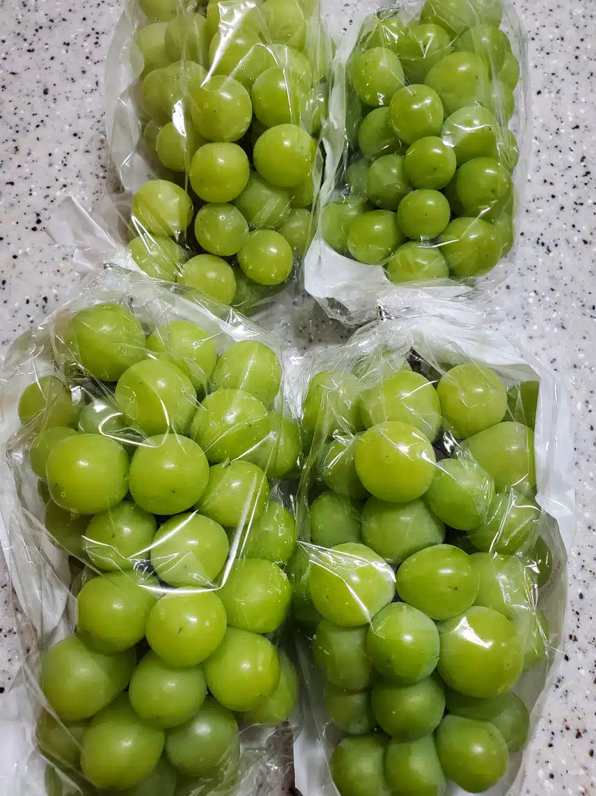 캐시딜과 함께 하는 삼시세끼!