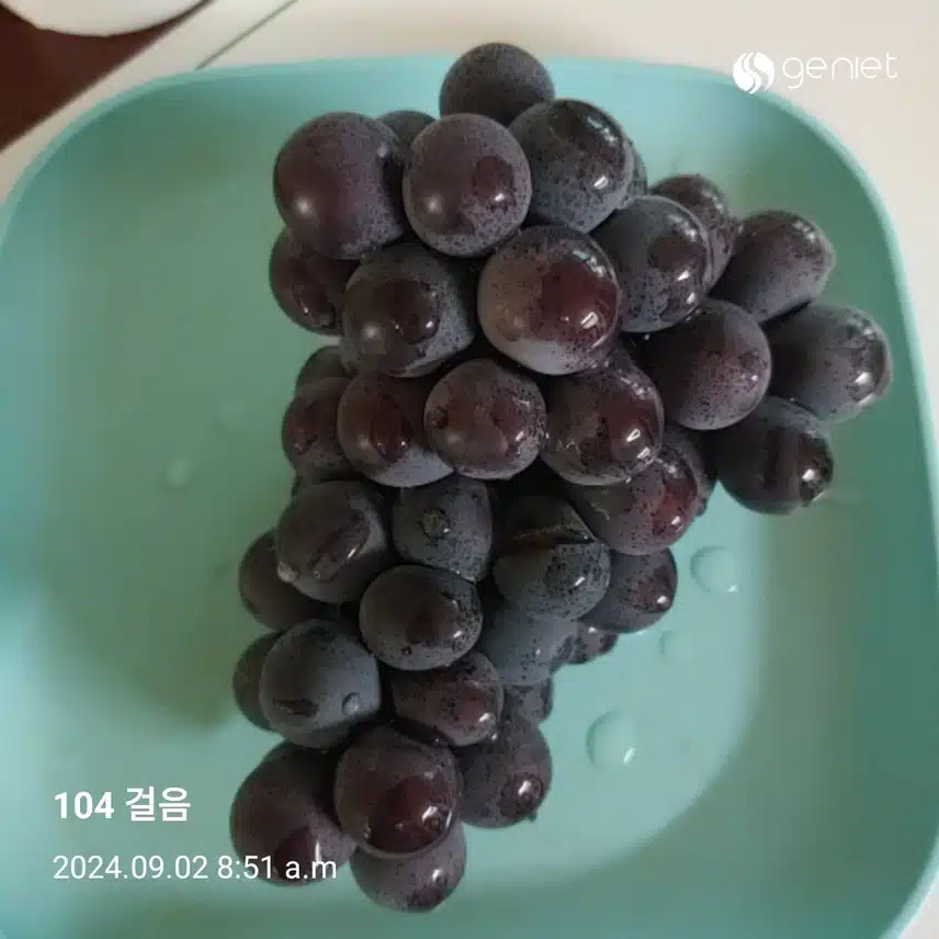 엄마 아침