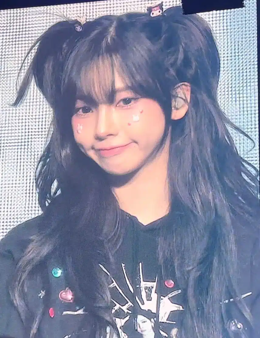쿠로미 핀꽂은거 진짜 