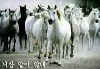 INFP의 첫인상과 현인상은 돌부처와 촉새