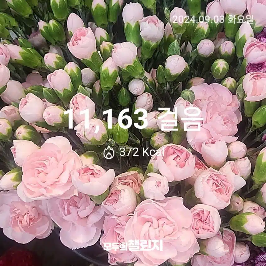 인증