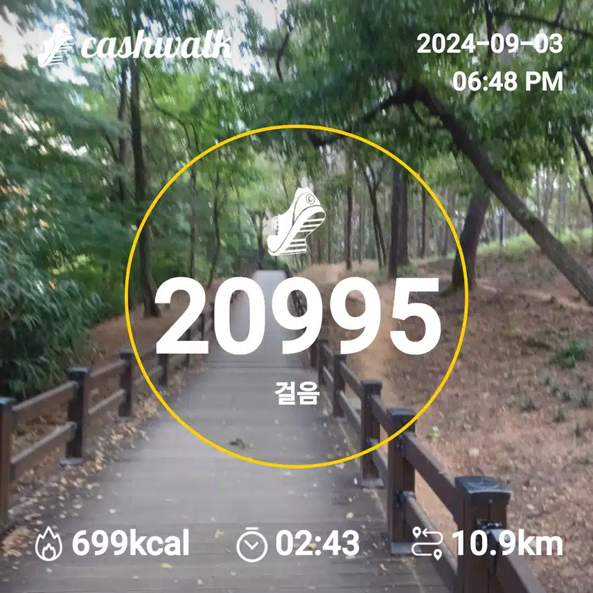 인증