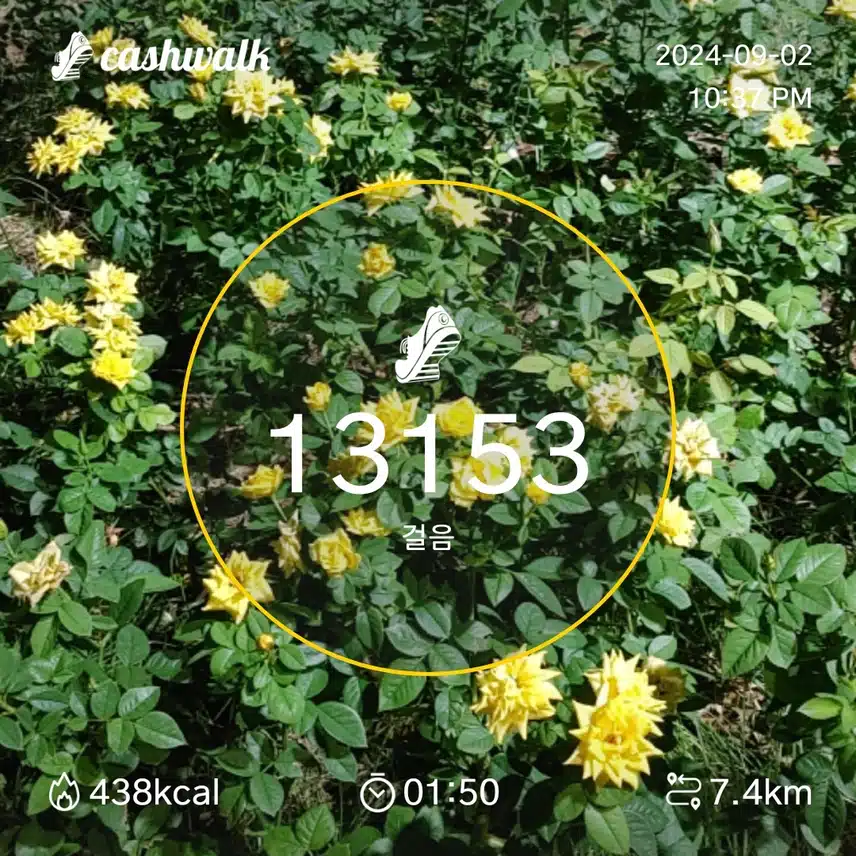 튼튼한 걷기 챌린지1일차 인증