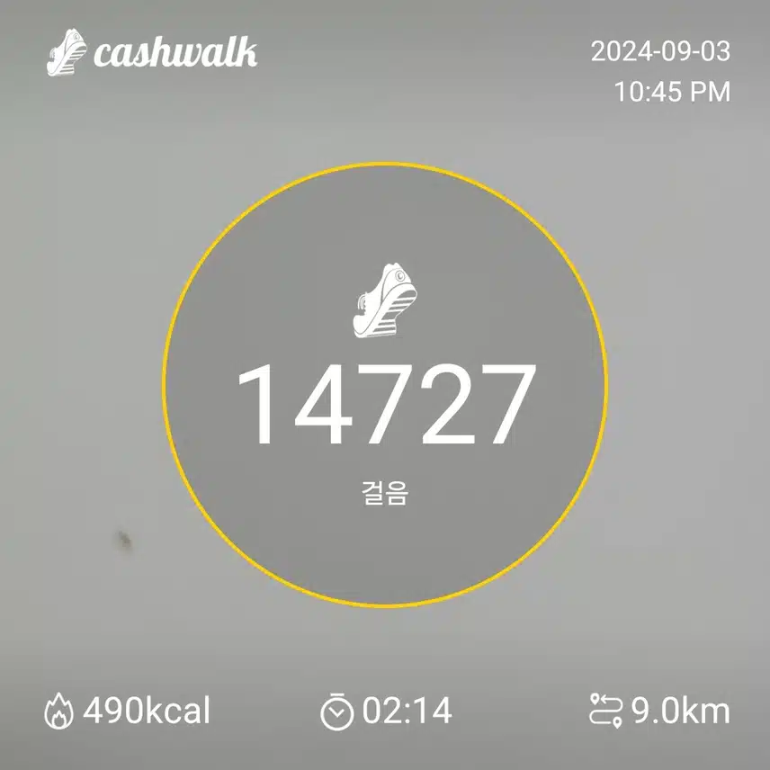 튼튼한 관절 걷기 인증