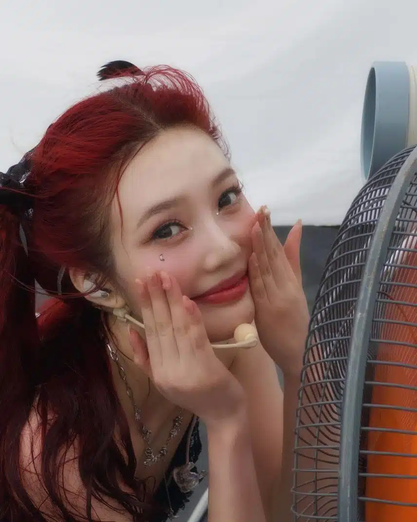 더위를 쫒는 양갈래 조이