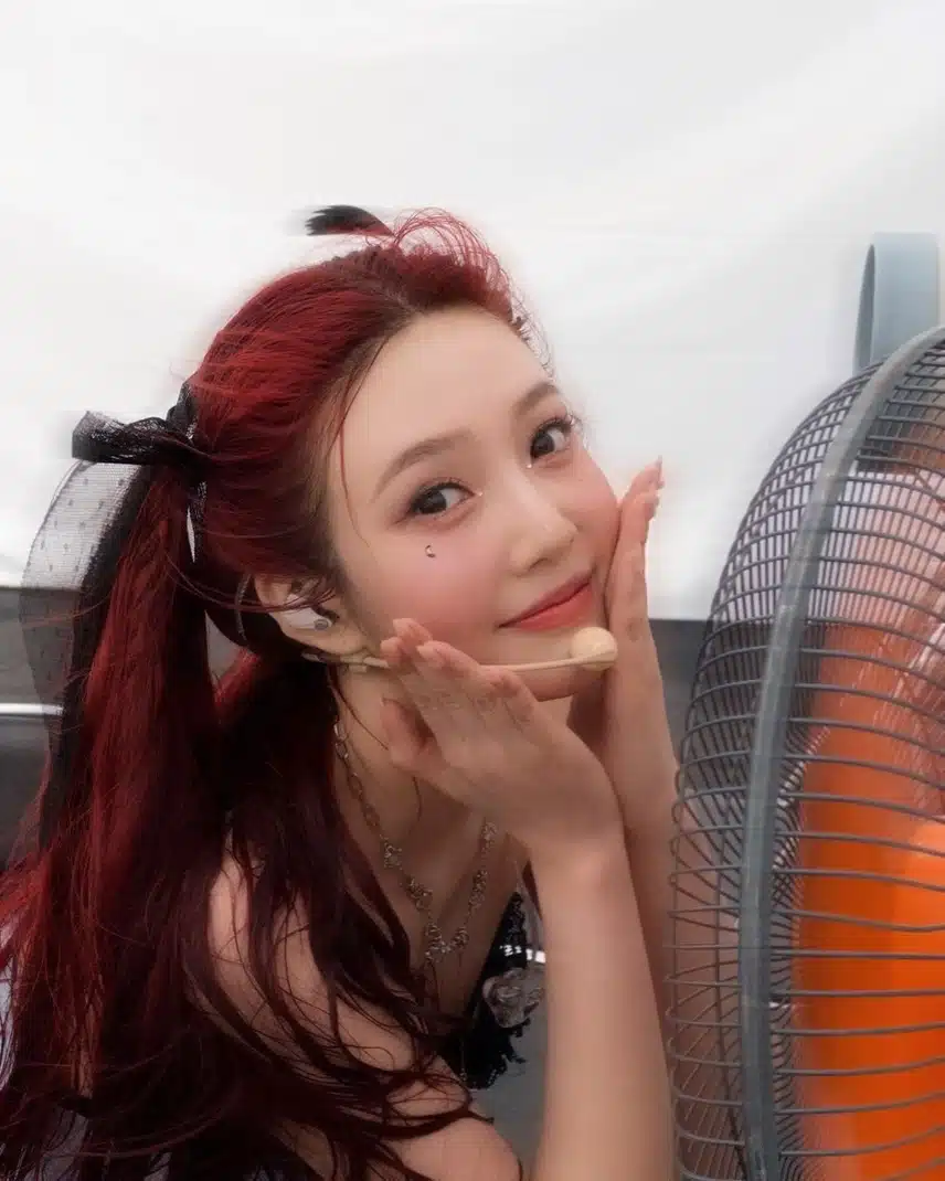 더위를 쫒는 양갈래 조이
