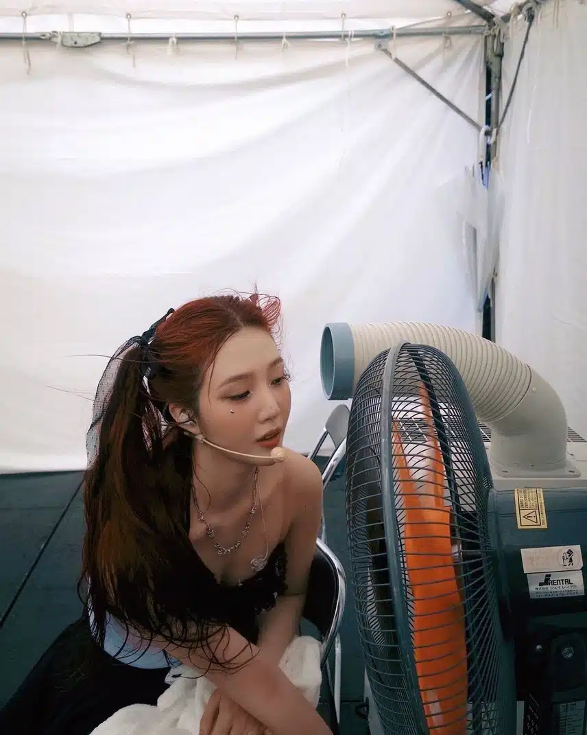 더위를 쫒는 양갈래 조이