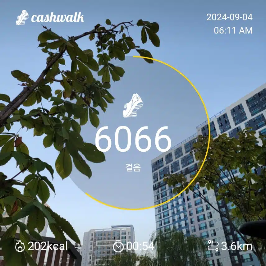 인증