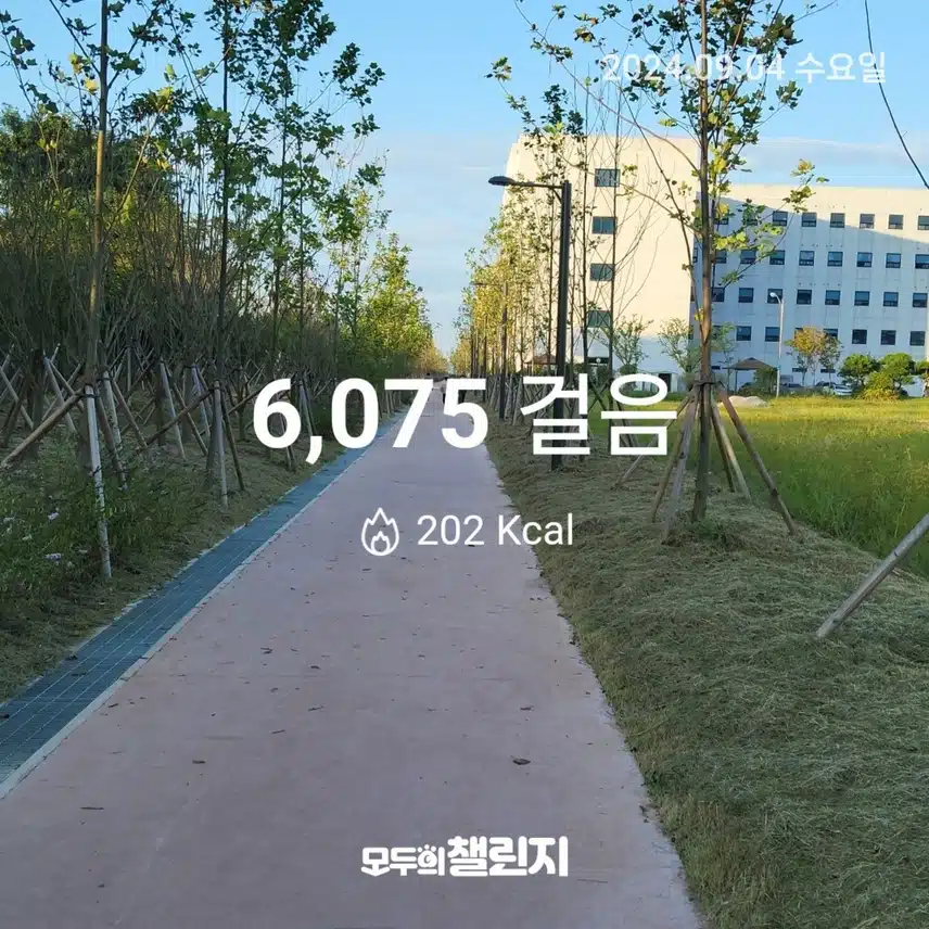 인증