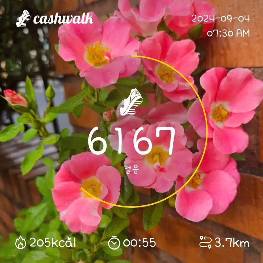 인증