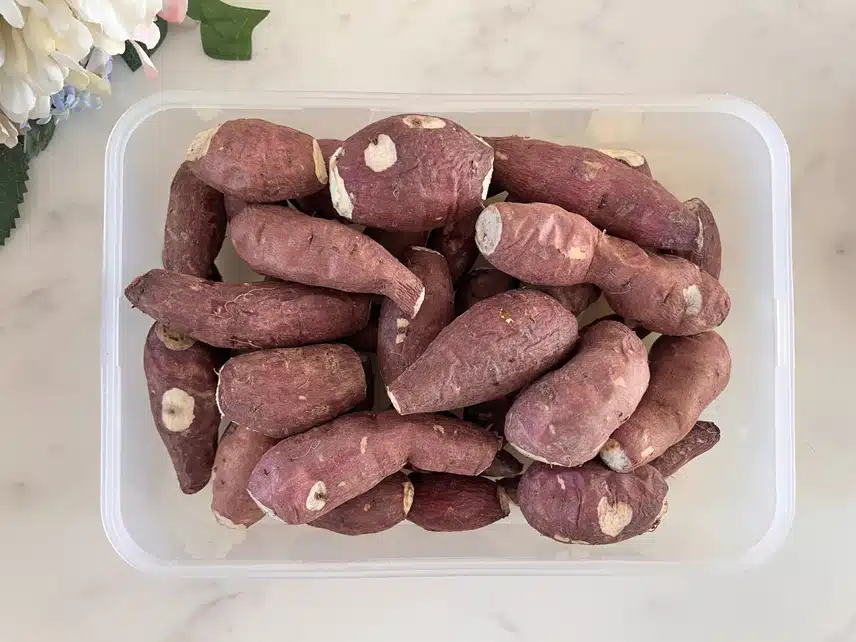 핼시딜 해남 🍠꿀 고구마 한입 2키로 실패
