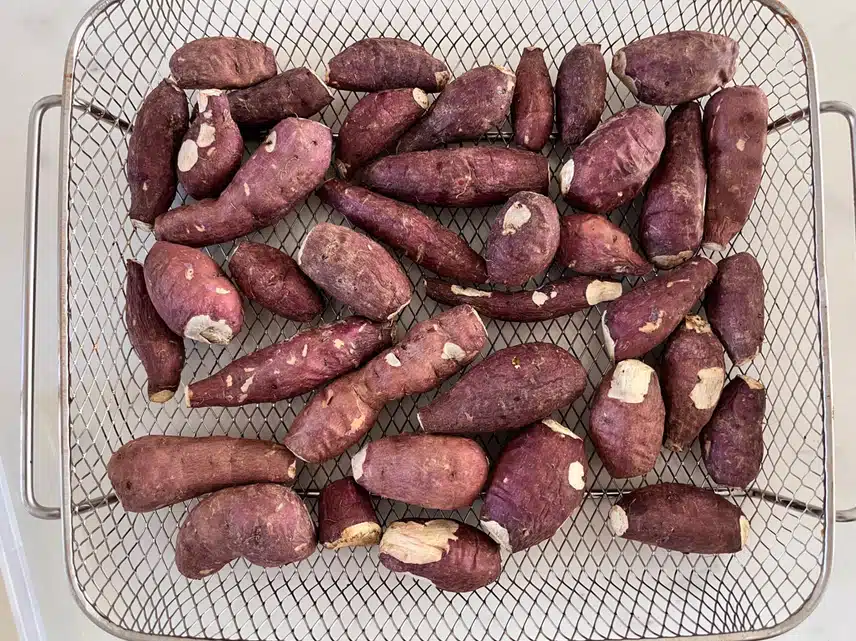 핼시딜 해남 🍠꿀 고구마 한입 2키로 실패
