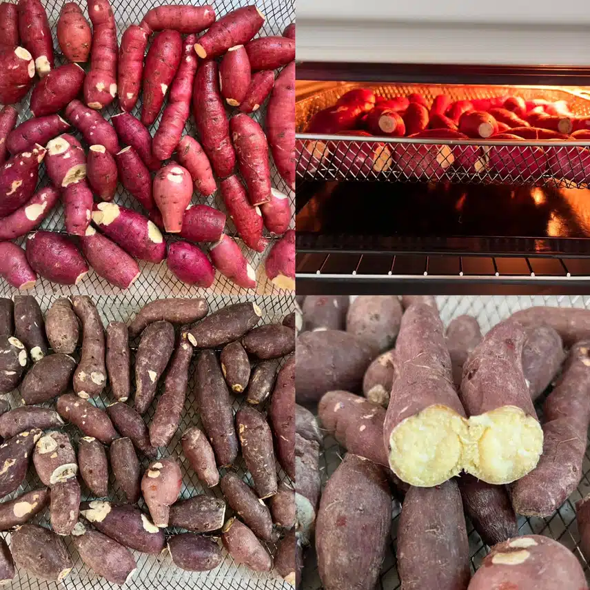 핼시딜 해남 🍠꿀 고구마 한입 2키로 실패