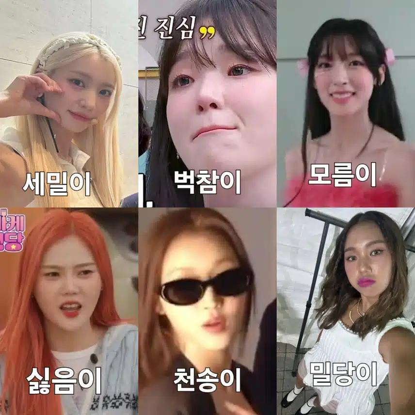 오마이걸이 서로 만들어준 인사이드아웃 식 별명